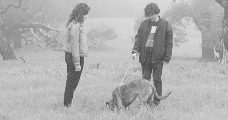 Even a Dog in Babylon - Resistência Queer