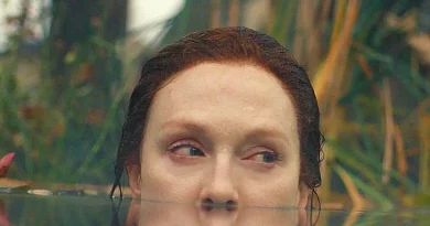 Julianne Moore Lisey's Story Stephen King