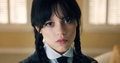 LEGO wednesday netflix