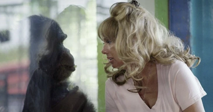 Chimp Crazy Max