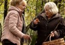 Quand vient l’automne