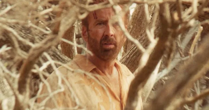 Nicolas Cage The Surfer Motelx