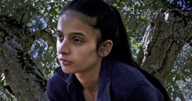 fogo do vento critica doclisboa