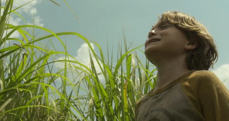 In the tall grass