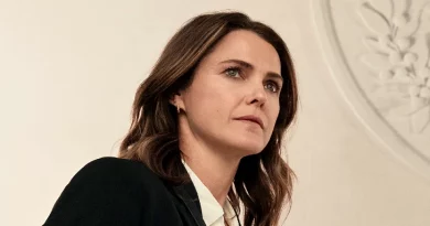 The Diplomat Netflix