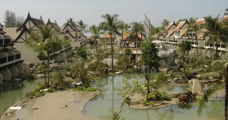 tsunami disney+