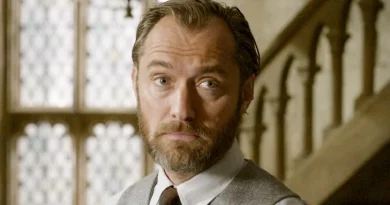 albus dumbledore harry potter