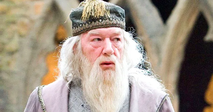 dumbledore harry potter