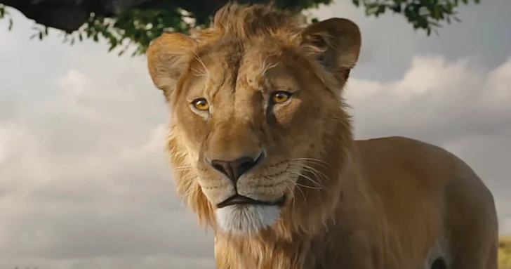 mufasa rei leão
