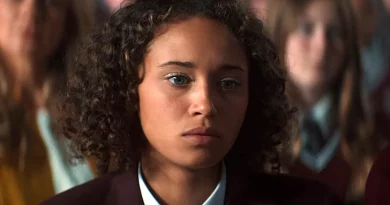 the stranger netflix