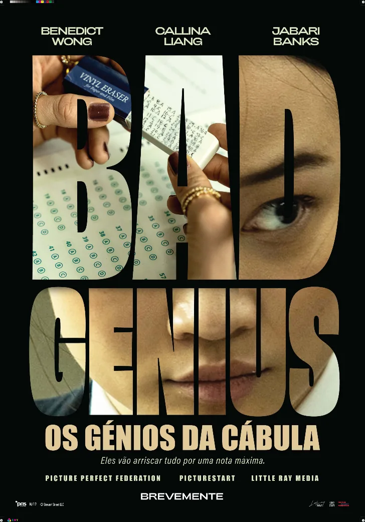 Bag Genius Poster 