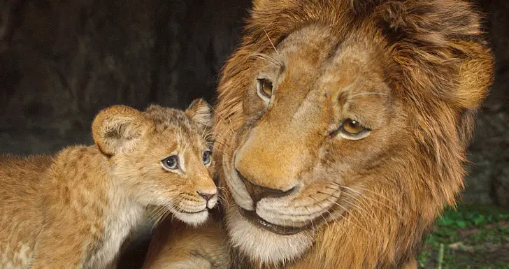 Mufasa: O Rei Leão