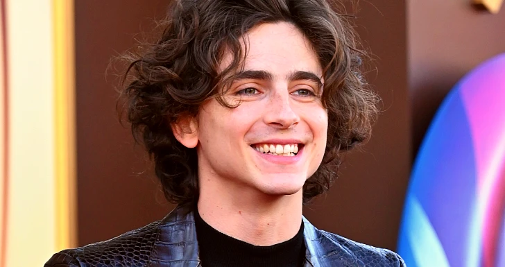 Timothée Chalamet na Premiere de Wonka