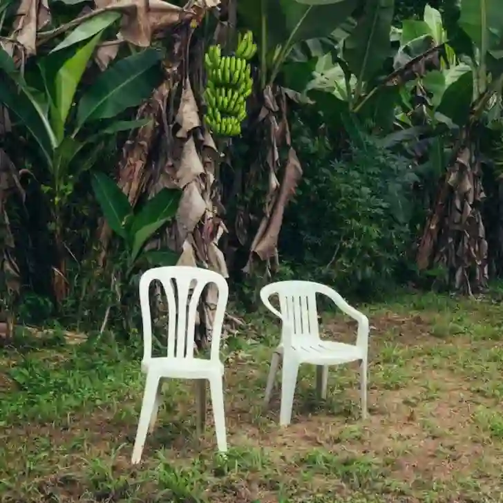 DeBÍ TiRAR MáS FOToS de Bad Bunny