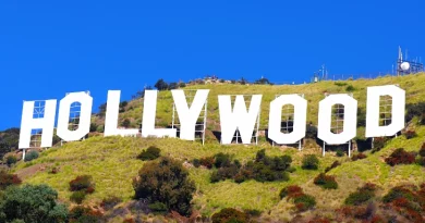 Hollywood | As reações à compra da Warner Brothers pela Netflix Hollywood | As reações à compra da Warner Brothers pela Netflix