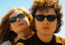timothee bob dylan