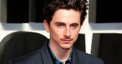 Timothée Chalamet sobre A Complete Unknown