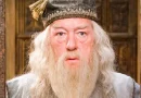 Dumbledore Harry Potter