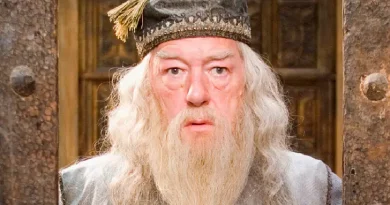 Dumbledore Harry Potter