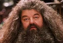 hagrid harry potter