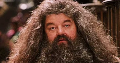hagrid harry potter
