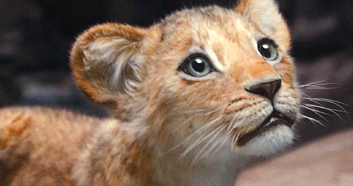 Mufasa: O Rei Leão