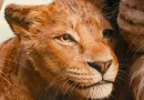 mufasa o rei leão disney+