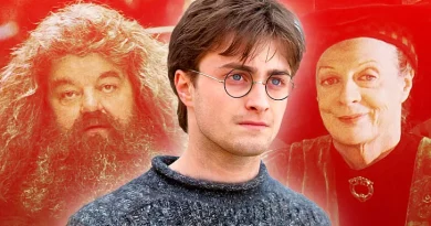 Harry Potter da série da HBO