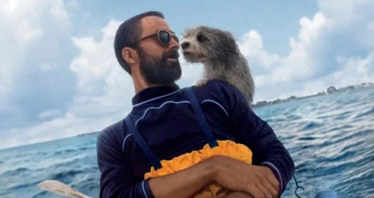 Pets (2025) Streaming Disney+