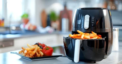 air fryer