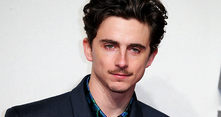 timothée chalamet a complete unknown disney+