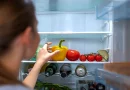 frigorifico temperatura termostato
