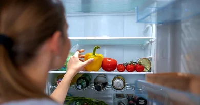 frigorifico temperatura termostato