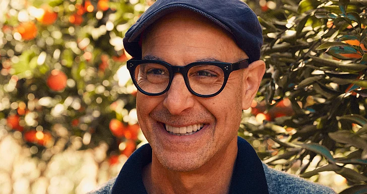 stanley tucci disney+