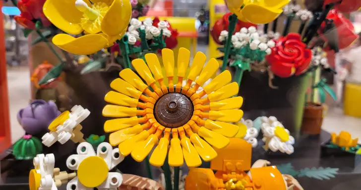 LEGO