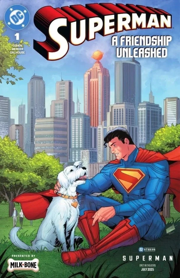 Super-Homem A Friendship Unleashed