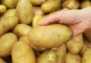 Pessoa com batatas.
