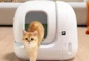 caixa areia para gatos amazon 2
