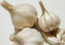 cascas de alho jardim 1