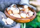 Cascas dos ovos, se as deitas fora, estás a perder estes nutrientes essenciais