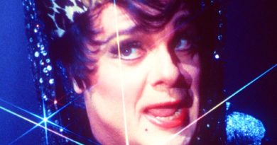 casa de doidas critica the birdcage gaiola das loucas