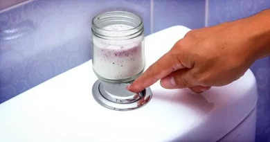 Diz adeus ao mau cheiro na casa de banho com este truque simples
