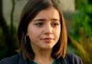 Família Instantânea (2018) Streaming na Netflix