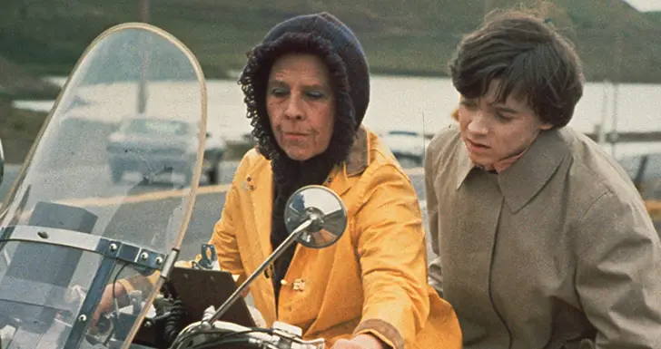 Harold And Maude