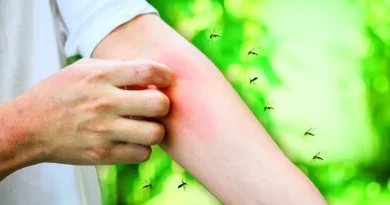 Mosquitos adoram-te no verão Este é o motivo