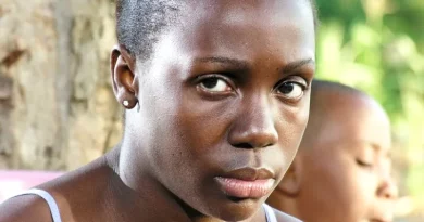 O Jardim do Outro Homem e O Último Voo do Flamingo, na RTP2