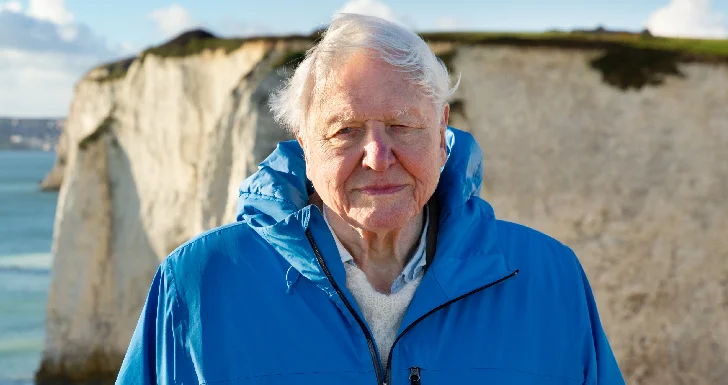 Ocean With David Attenborough Streaming no Disney+