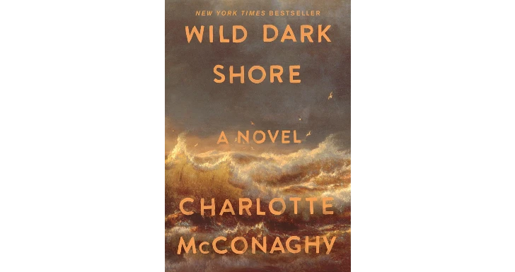 Wild Dark Shore de S.A. Cosby