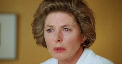 5 grandes filmes disponíveis no streaming português perfeitos para ver no outono 5 grandes filmes disponíveis no streaming português perfeitos para ver no outono