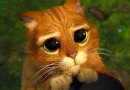 Gato das Botas em "Shrek 2"